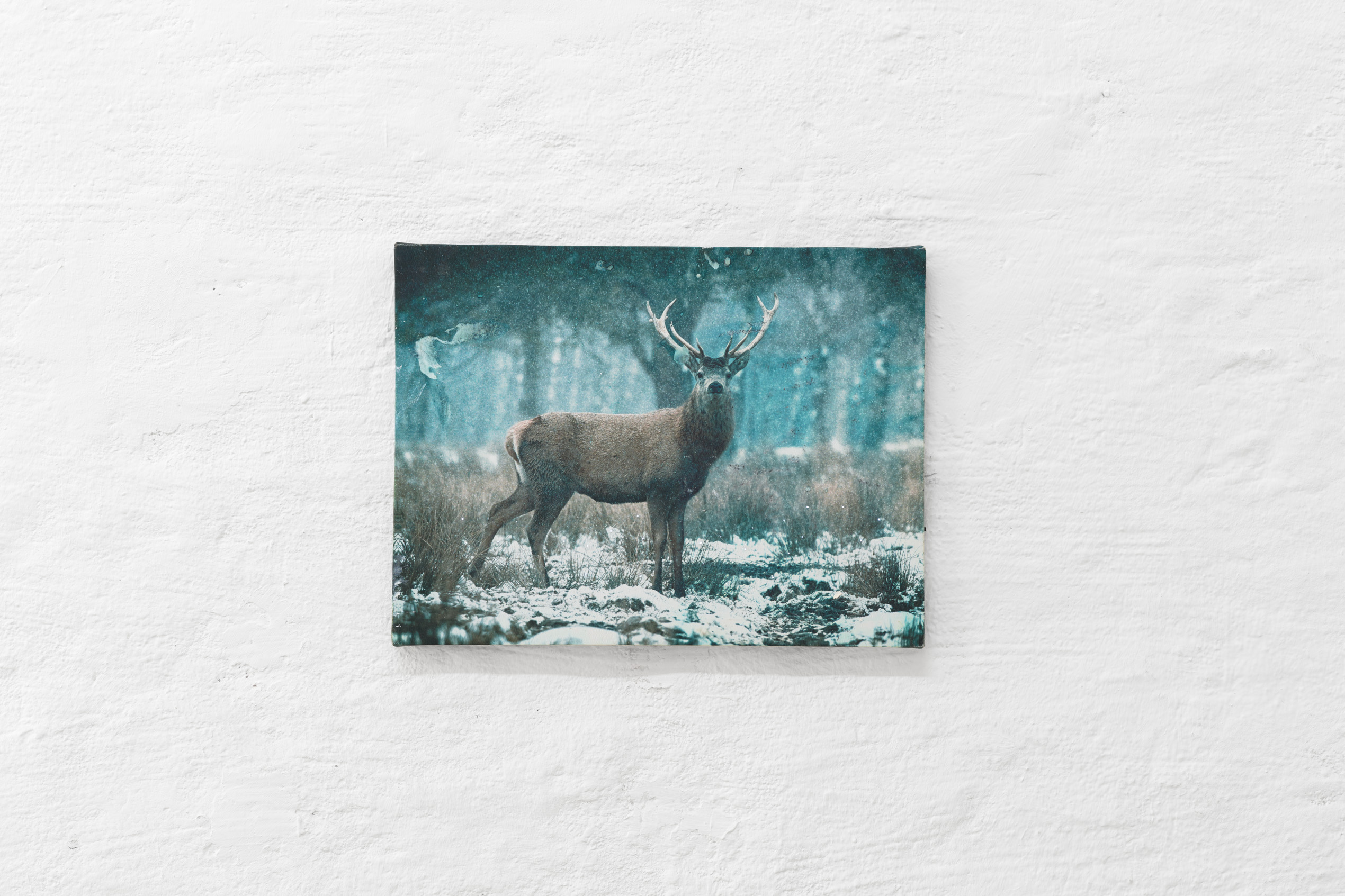 Emily Jones, Greenhithe for Bluewater, toddlers tshirt which reads 'Are we there yet?', stag print on canvas with LED lights Emily Jones, Greenhithe for Bluewater, toddlers tshirt which reads 'Are we there yet?', stag print on canvas with LED lights