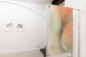 Exhibition View (Kea Bolenz, Evelyn Plaschg)