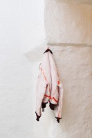 Simon Mullan, Naked bomber jacket, 2019 Simon Mullan, Naked bomber jacket, 2019