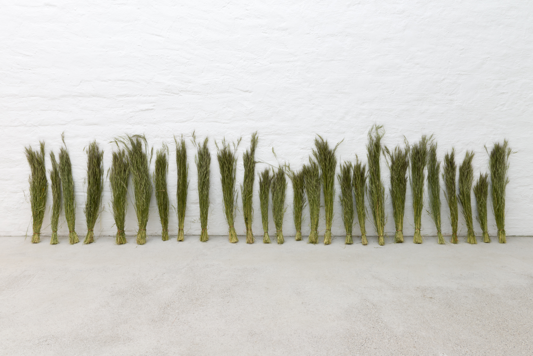 Rasmus Myrup, It will be spring again, 2020 Rasmus Myrup, It will be spring again, 2020
