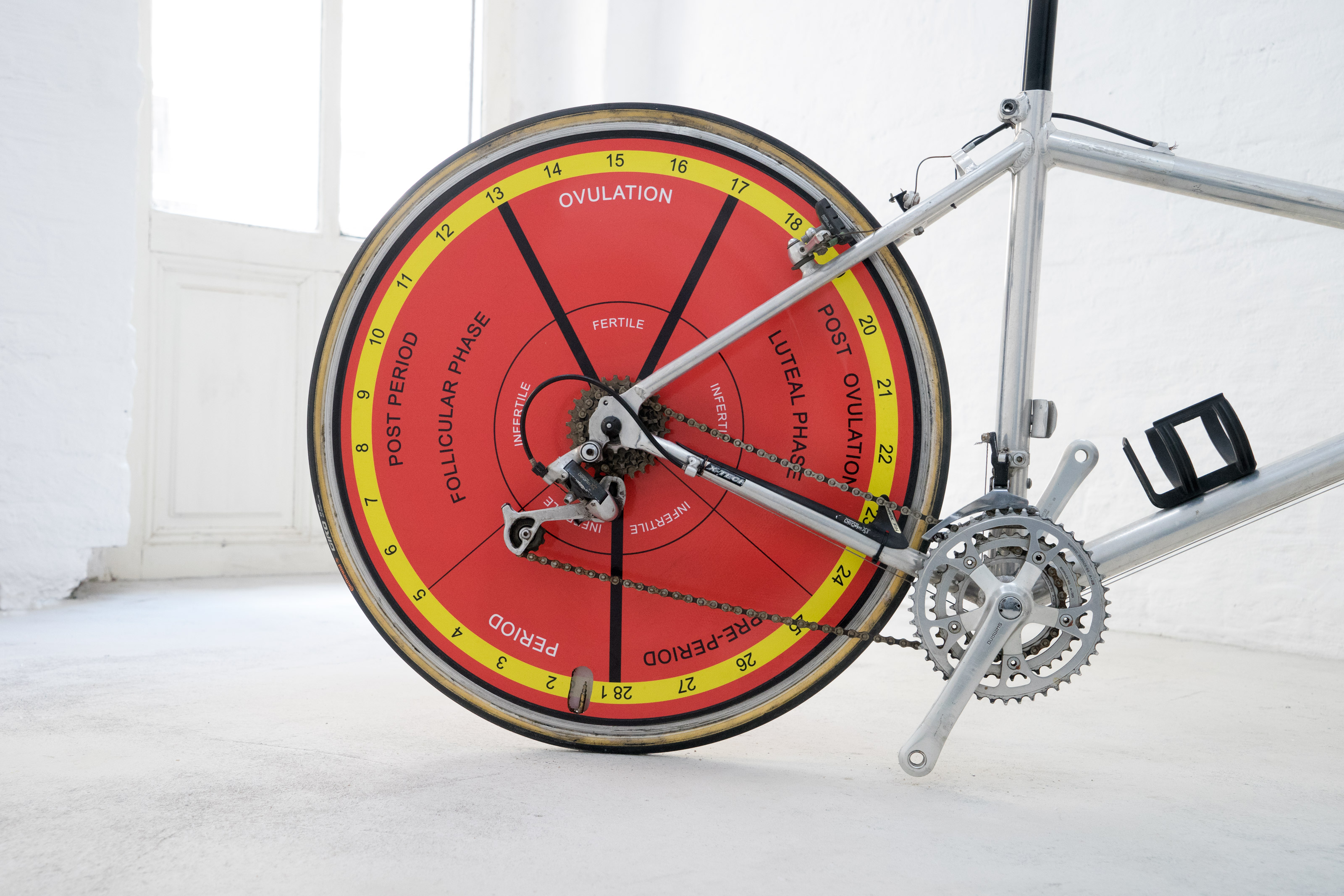 Lucia Elena Průša, Cycle, 2018, Aluminium, steel, rubber, plastic, UV-print, 14 x 85 x 60 cm Lucia Elena Průša, Cycle, 2018, Aluminium, steel, rubber, plastic, UV-print, 14 x 85 x 60 cm