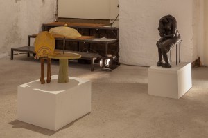 Exhibition view (Agnès Racine)