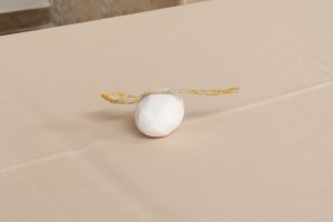 Gianna Virginia Prein, egg me on, 2021, salt lick, egg carton