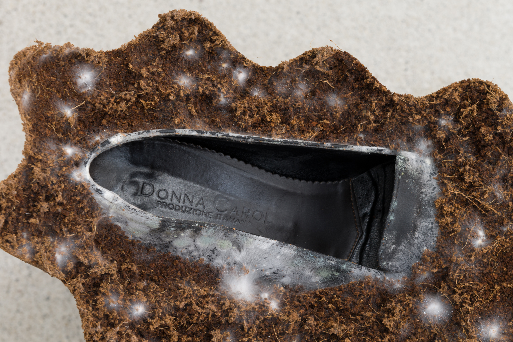 Angelika Loderer: Animate (detail), 2020; coconut substrate, mycelium, leather shoes Angelika Loderer: Animate (detail), 2020; coconut substrate, mycelium, leather shoes