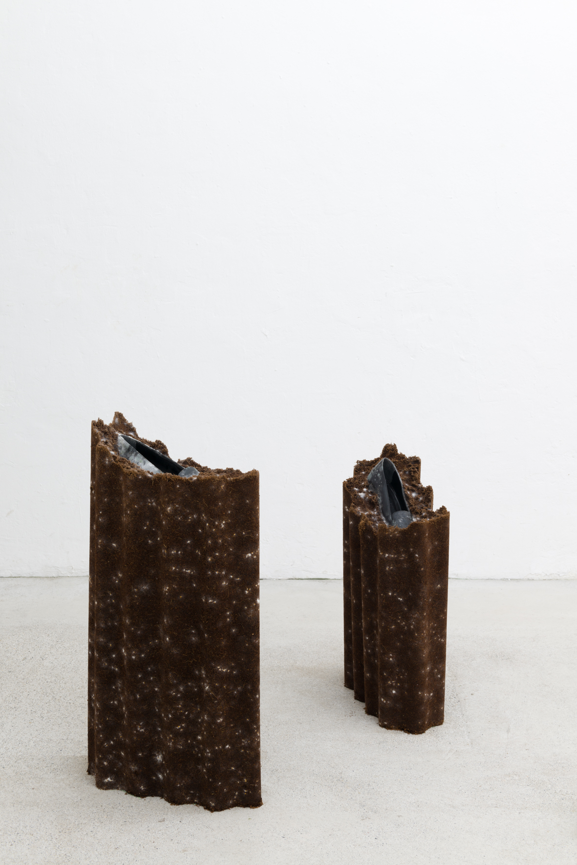 Angelika Loderer: Animate, 2020; coconut substrate, mycelium, leather shoes